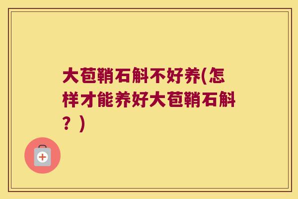 大苞鞘石斛不好养(怎样才能养好大苞鞘石斛？)