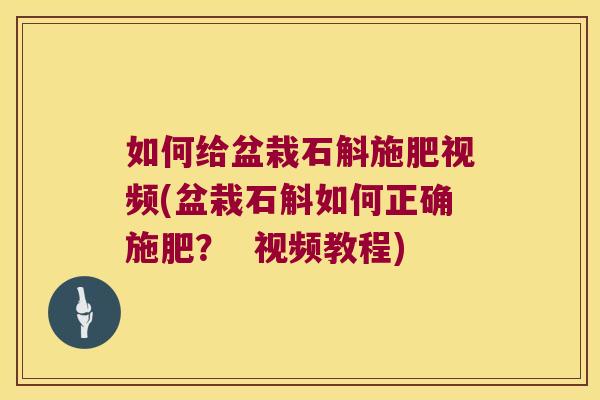如何给盆栽石斛施肥视频(盆栽石斛如何正确施肥? 视频教程) 如何给盆栽石斛施肥视频(盆栽石斛如何正确施肥? 视频教程)