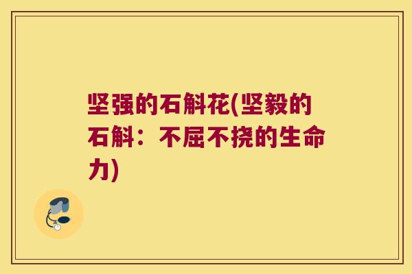 坚强的石斛花(坚毅的石斛：不屈不挠的生命力)
