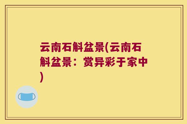 云南石斛盆景(云南石斛盆景：赏异彩于家中)
