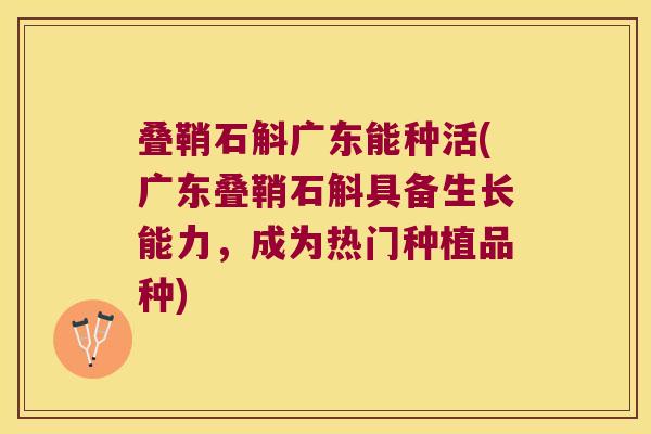 叠鞘石斛广东能种活(广东叠鞘石斛具备生长能力，成为热门种植品种)