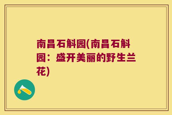 南昌石斛园(南昌石斛园：盛开美丽的野生兰花)