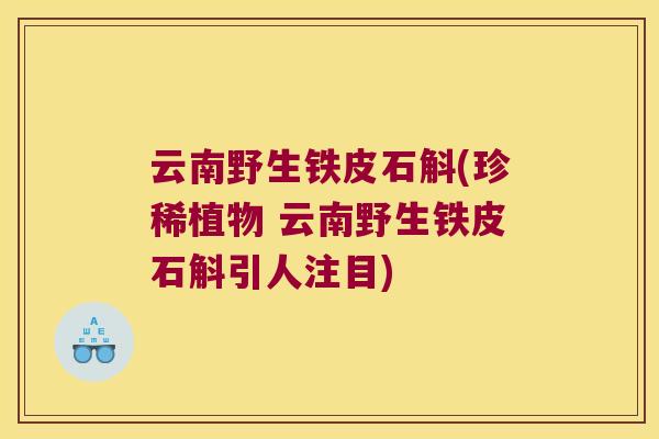 云南野生铁皮石斛(珍稀植物 云南野生铁皮石斛引人注目)