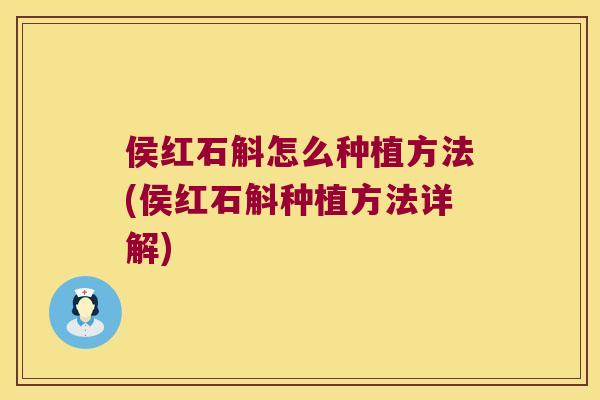 侯红石斛怎么种植方法(侯红石斛种植方法详解)