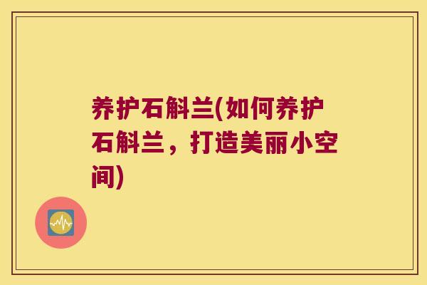 养护石斛兰(如何养护石斛兰，打造美丽小空间)