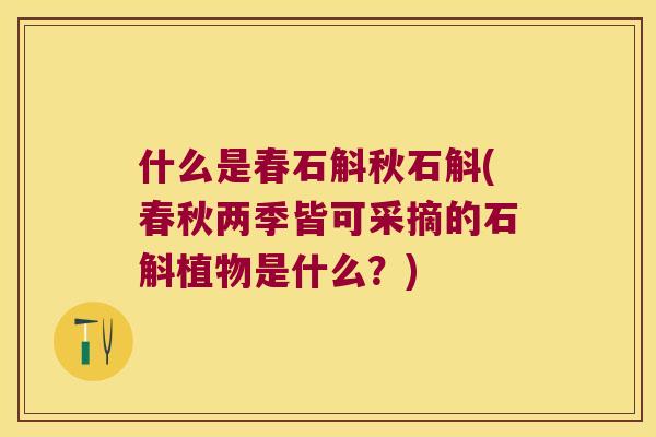 什么是春石斛秋石斛(春秋两季皆可采摘的石斛植物是什么？)