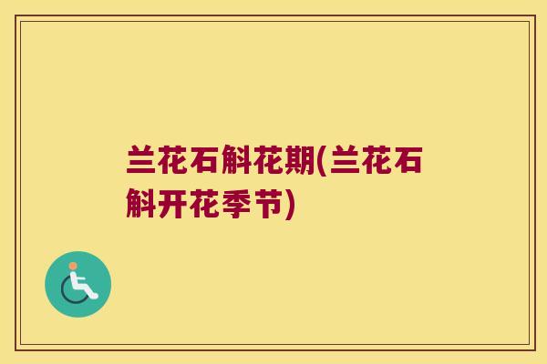 兰花石斛花期(兰花石斛开花季节)