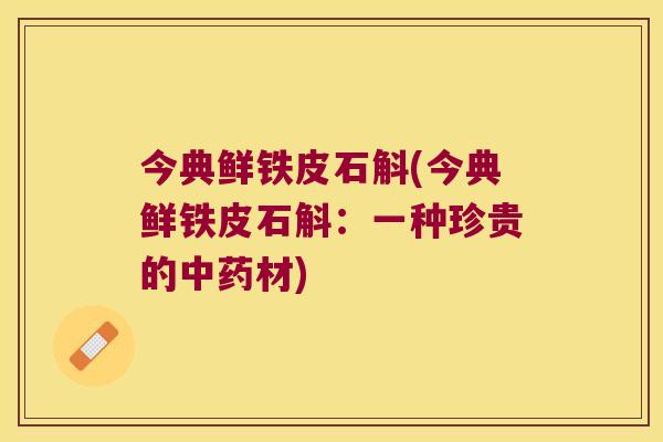 今典鲜铁皮石斛(今典鲜铁皮石斛：一种珍贵的中药材)