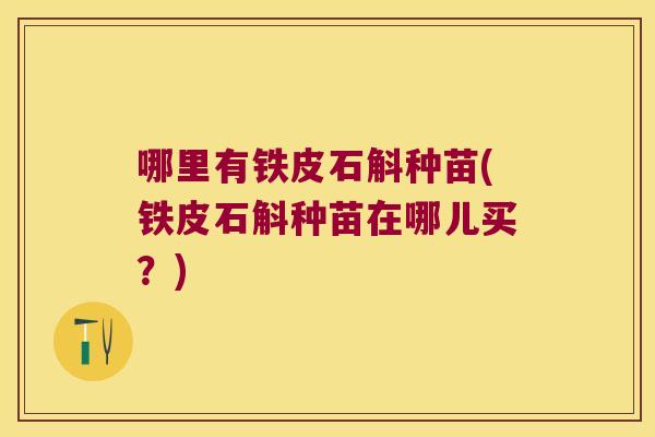 哪里有铁皮石斛种苗(铁皮石斛种苗在哪儿买？)