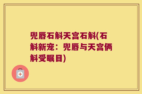 兜唇石斛天宫石斛(石斛新宠：兜唇与天宫俩斛受瞩目)