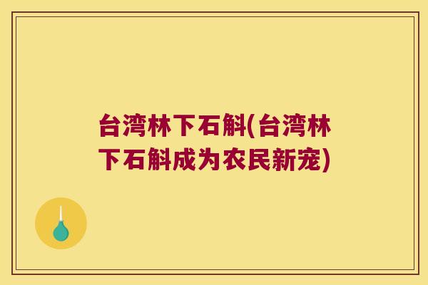 台湾林下石斛(台湾林下石斛成为农民新宠)