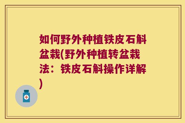 如何野外种植铁皮石斛盆栽(野外种植转盆栽法：铁皮石斛操作详解)