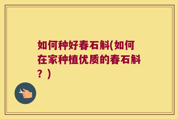 如何种好春石斛(如何在家种植优质的春石斛？)