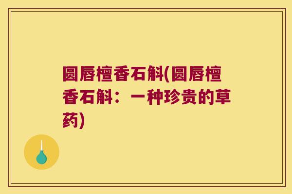 圆唇檀香石斛(圆唇檀香石斛：一种珍贵的草药)