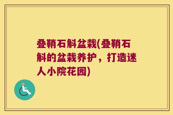 叠鞘石斛盆栽(叠鞘石斛的盆栽养护，打造迷人小院花园)