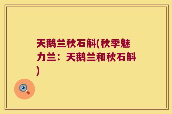天鹅兰秋石斛(秋季魅力兰：天鹅兰和秋石斛)