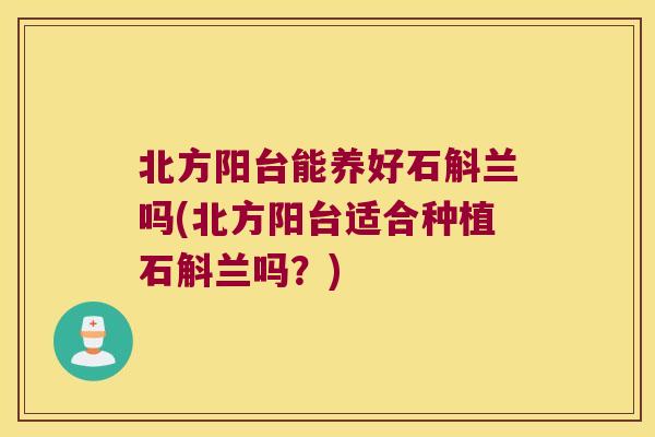 北方阳台能养好石斛兰吗(北方阳台适合种植石斛兰吗？)