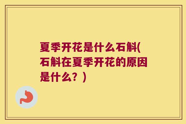 夏季开花是什么石斛(石斛在夏季开花的原因是什么？)