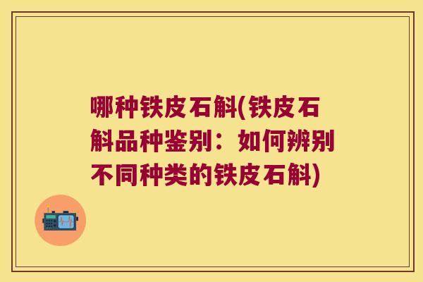 哪种铁皮石斛(铁皮石斛品种鉴别：如何辨别不同种类的铁皮石斛)