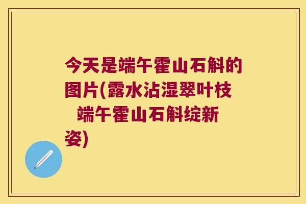 今天是端午霍山石斛的图片(露水沾湿翠叶枝  端午霍山石斛绽新姿)