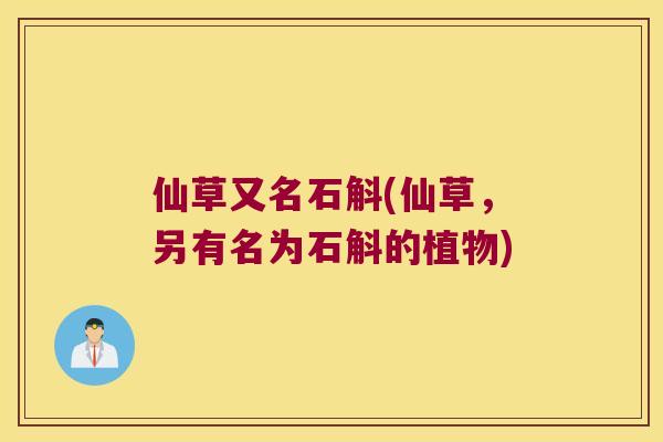 仙草又名石斛(仙草，另有名为石斛的植物)