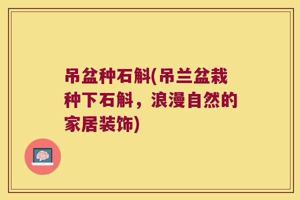 吊盆种石斛(吊兰盆栽种下石斛,浪漫自然的家居装饰) 吊盆种石斛(吊兰盆栽种下石斛,浪漫自然的家居装饰)