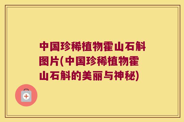 中国珍稀植物霍山石斛图片(中国珍稀植物霍山石斛的美丽与神秘)
