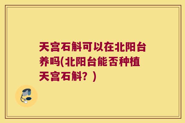天宫石斛可以在北阳台养吗(北阳台能否种植天宫石斛?) 天宫石斛可以在北阳台养吗(北阳台能否种植天宫石斛?)