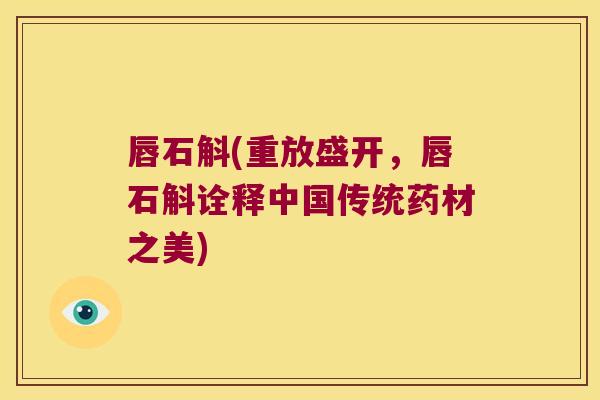 唇石斛(重放盛开，唇石斛诠释中国传统药材之美)