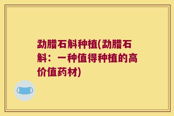 勐腊石斛种植(勐腊石斛:一种值得种植的高价值药材) 勐腊石斛种植(勐腊石斛:一种值得种植的高价值药材)