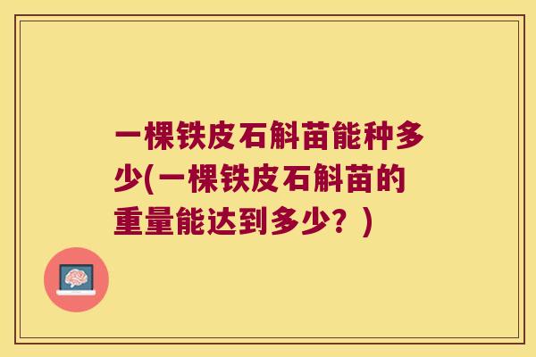 一棵铁皮石斛苗能种多少(一棵铁皮石斛苗的重量能达到多少？)