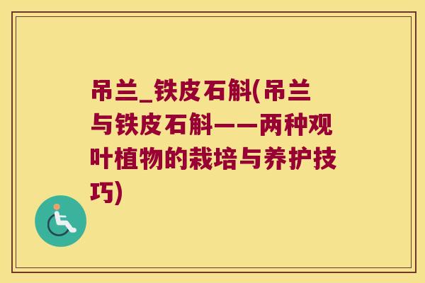 吊兰_铁皮石斛(吊兰与铁皮石斛——两种观叶植物的栽培与养护技巧)