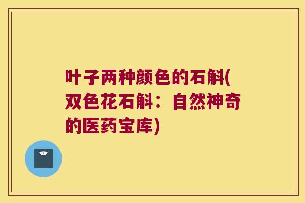 叶子两种颜色的石斛(双色花石斛：自然神奇的医药宝库)
