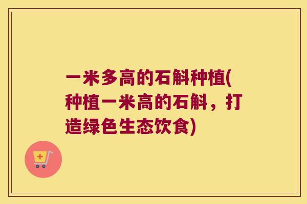 一米多高的石斛种植(种植一米高的石斛，打造绿色生态饮食)