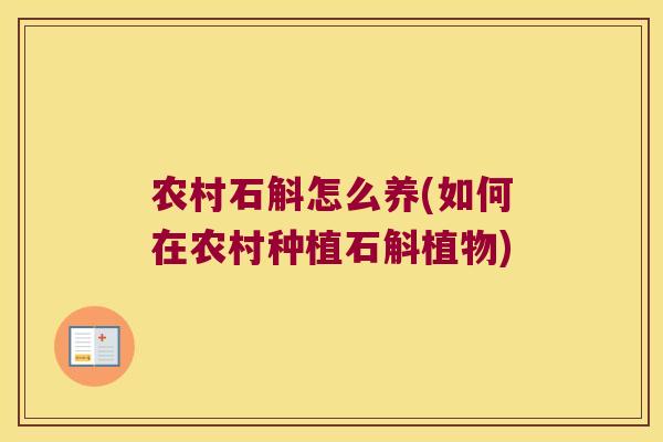 农村石斛怎么养(如何在农村种植石斛植物)