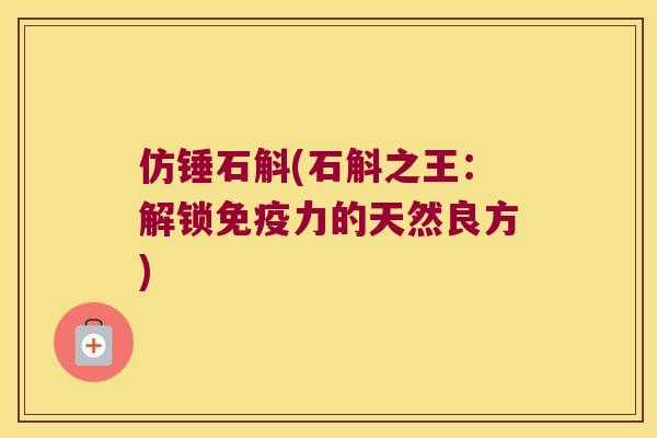 仿锤石斛(石斛之王：解锁力的天然良方)