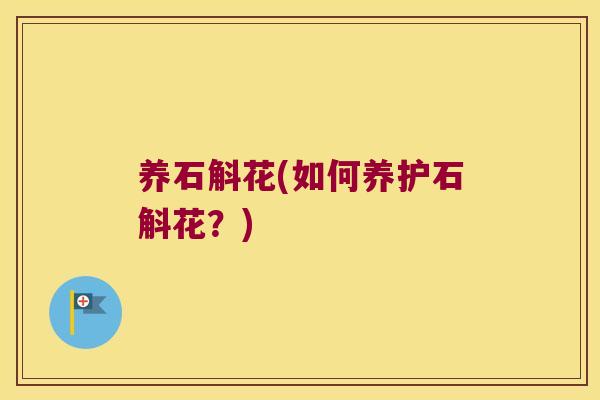 养石斛花(如何养护石斛花？)