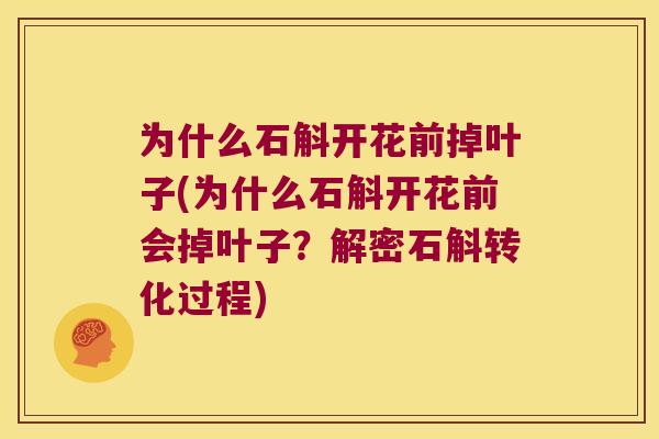 为什么石斛开花前掉叶子(为什么石斛开花前会掉叶子？解密石斛转化过程)