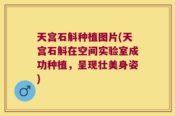 天宫石斛种植图片(天宫石斛在空间实验室成功种植，呈现壮美身姿)