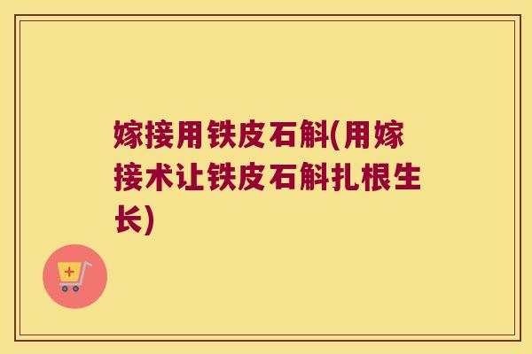 嫁接用铁皮石斛(用嫁接术让铁皮石斛扎根生长) 嫁接用铁皮石斛(用嫁接术让铁皮石斛扎根生长)