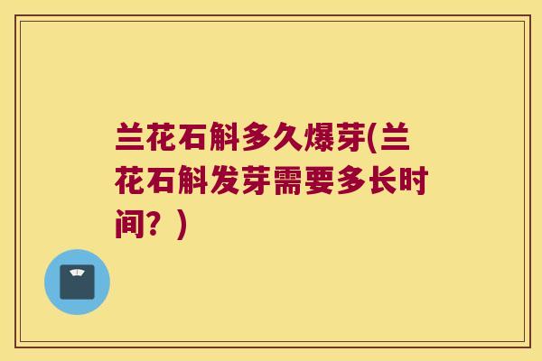 兰花石斛多久爆芽(兰花石斛发芽需要多长时间？)