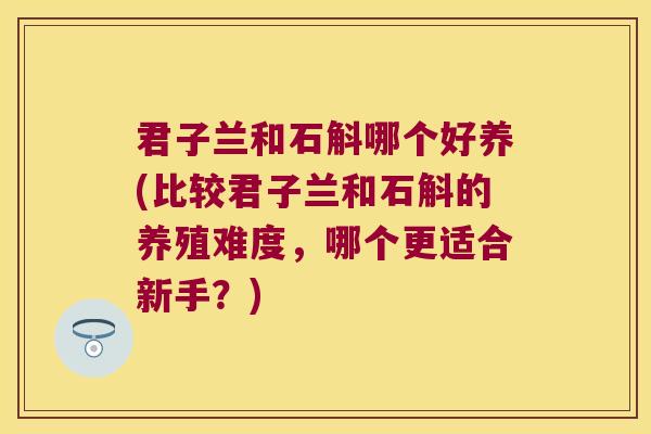 君子兰和石斛哪个好养(比较君子兰和石斛的养殖难度，哪个更适合新手？)