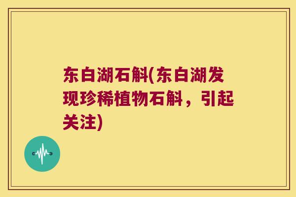 东白湖石斛(东白湖发现珍稀植物石斛，引起关注)