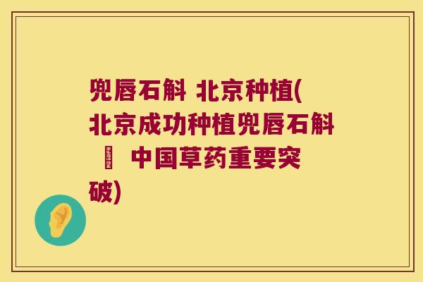 兜唇石斛 北京种植(北京成功种植兜唇石斛 – 中国草药重要突破)