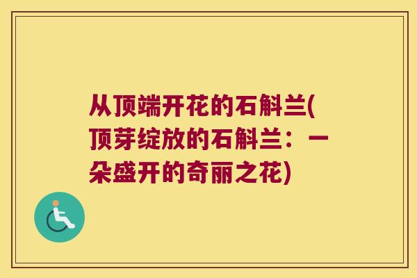 从顶端开花的石斛兰(顶芽绽放的石斛兰：一朵盛开的奇丽之花)