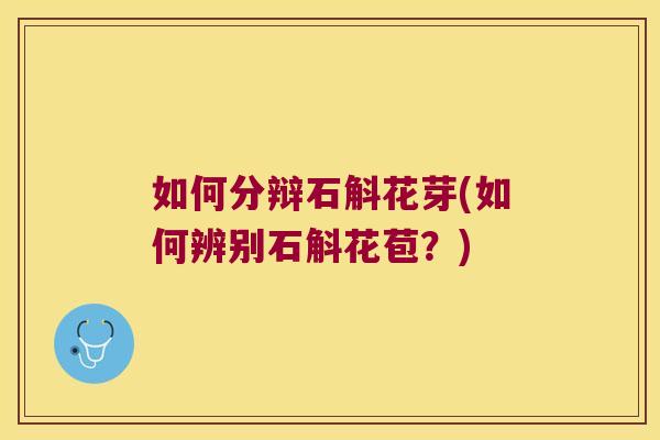 如何分辩石斛花芽(如何辨别石斛花苞？)