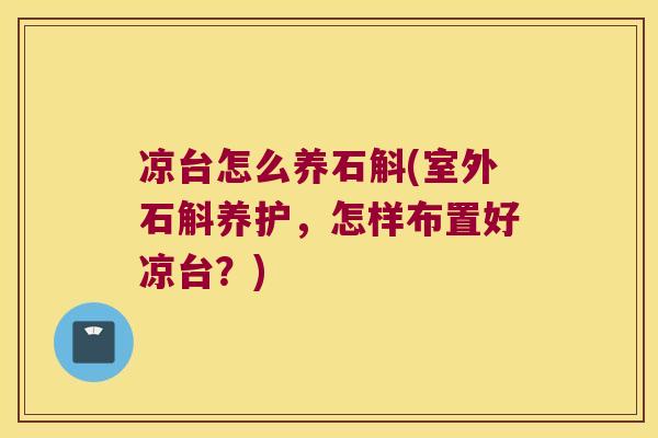 凉台怎么养石斛(室外石斛养护，怎样布置好凉台？)