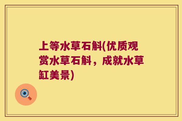 上等水草石斛(优质观赏水草石斛，成就水草缸美景)