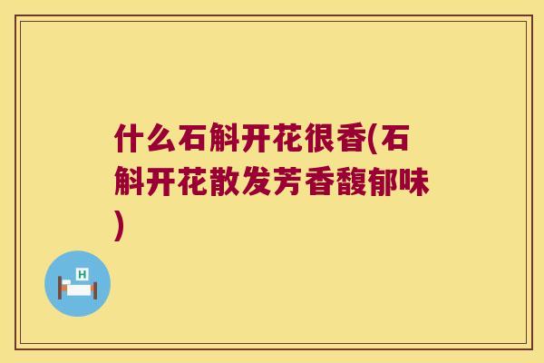 什么石斛开花很香(石斛开花散发芳香馥郁味)