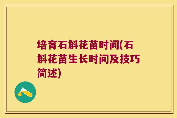 培育石斛花苗时间(石斛花苗生长时间及技巧简述)